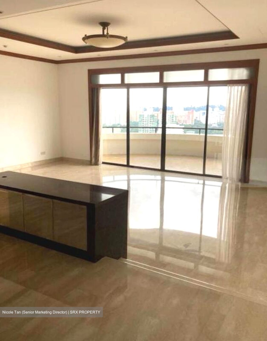 Regency Park (D10), Condominium #495644251